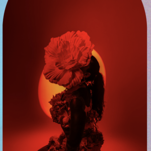 Prévisions Verseau 2026